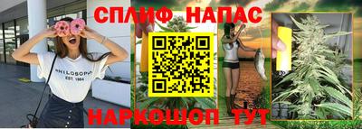 прущие грибы Гусев
