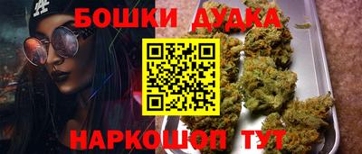 прущие грибы Гусев