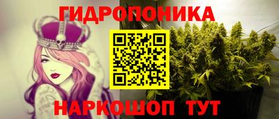 mdpv Гусь-Хрустальный