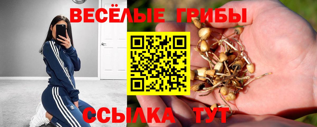 Галлюциногенные грибы MAGIC MUSHROOMS Набережные Челны